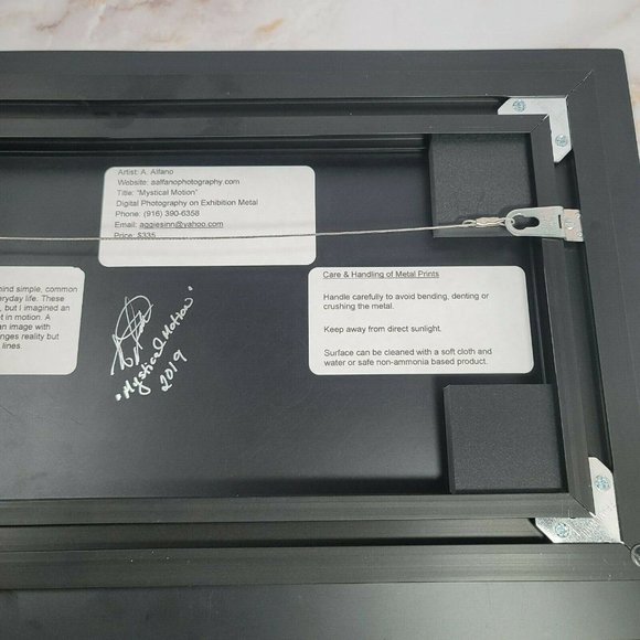 Agnes Alfano "Mystical Motion" Digital Photography on Metal Plate Signed - Picture 10 of 10